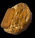 Golden Biscoff Fix